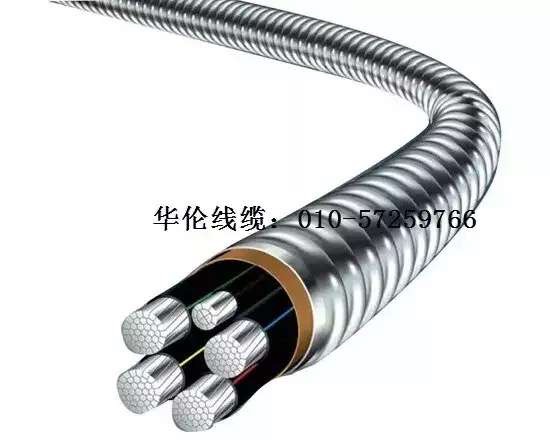 滄州市統(tǒng)計工作規(guī)范化建設推進會在華倫公司順利召開！