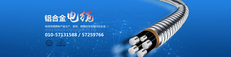滄州市統計工作規范化建設推進會在華倫公司順利召開！