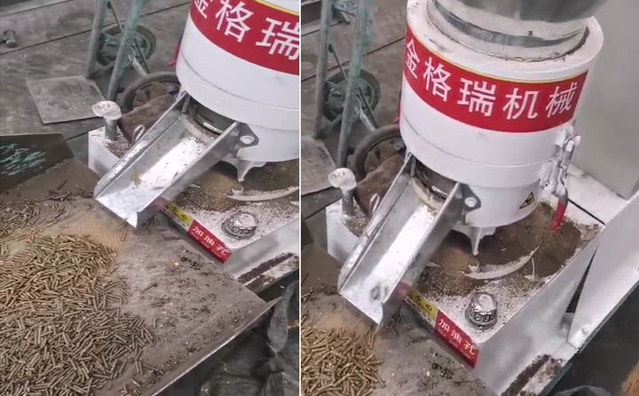 當(dāng)天進入生產(chǎn)的金格瑞飼料顆粒機