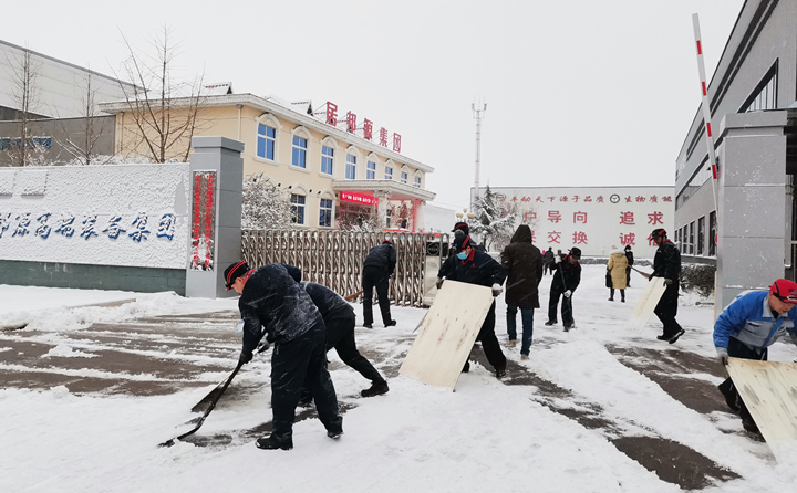 山東金格瑞的同事們第一時間積極自發(fā)的參與到掃雪行動中.jpg 山東金格瑞的同事們第一時間積極自發(fā)的參與到掃雪行動中.jpg