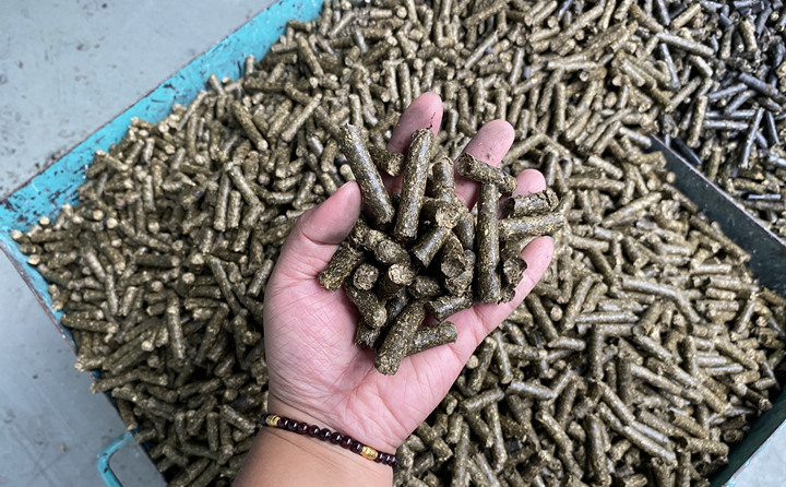 木屑制粒機的燃料顆粒.jpg 木屑制粒機的燃料顆粒.jpg