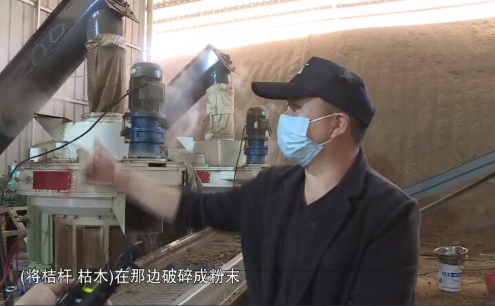將桔桿、枯木在那邊破碎成粉末，然后經(jīng)過這兩個造粒機的碾壓，形成這種顆粒燃料出來，形成最后的產(chǎn)品.jpg