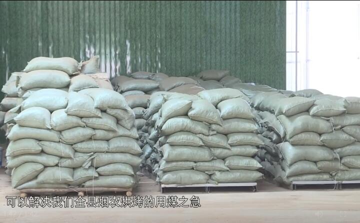 造粒機生產(chǎn)下來的生物質燃料顆粒，可以解決全縣煙農烘烤的用煤之急，用它替代煤來烤煙，可以解決2萬畝烤煙的烘烤燃料.jpg